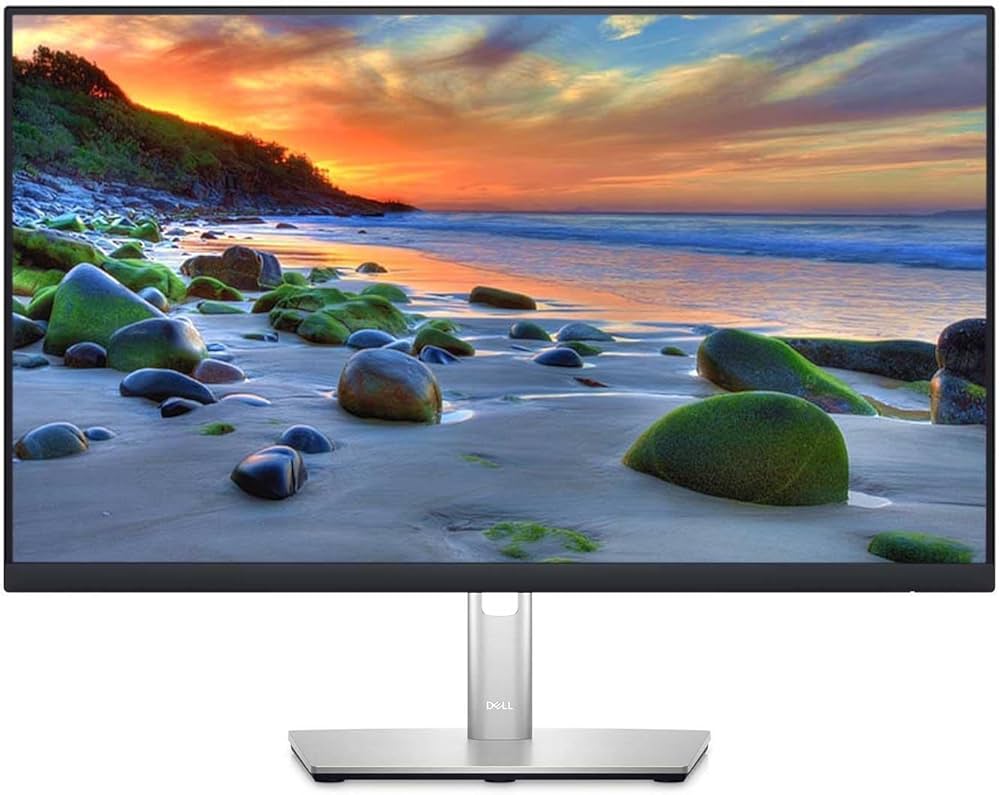 Dell P2421D 23.8"