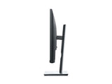Dell P2421D 23.8"