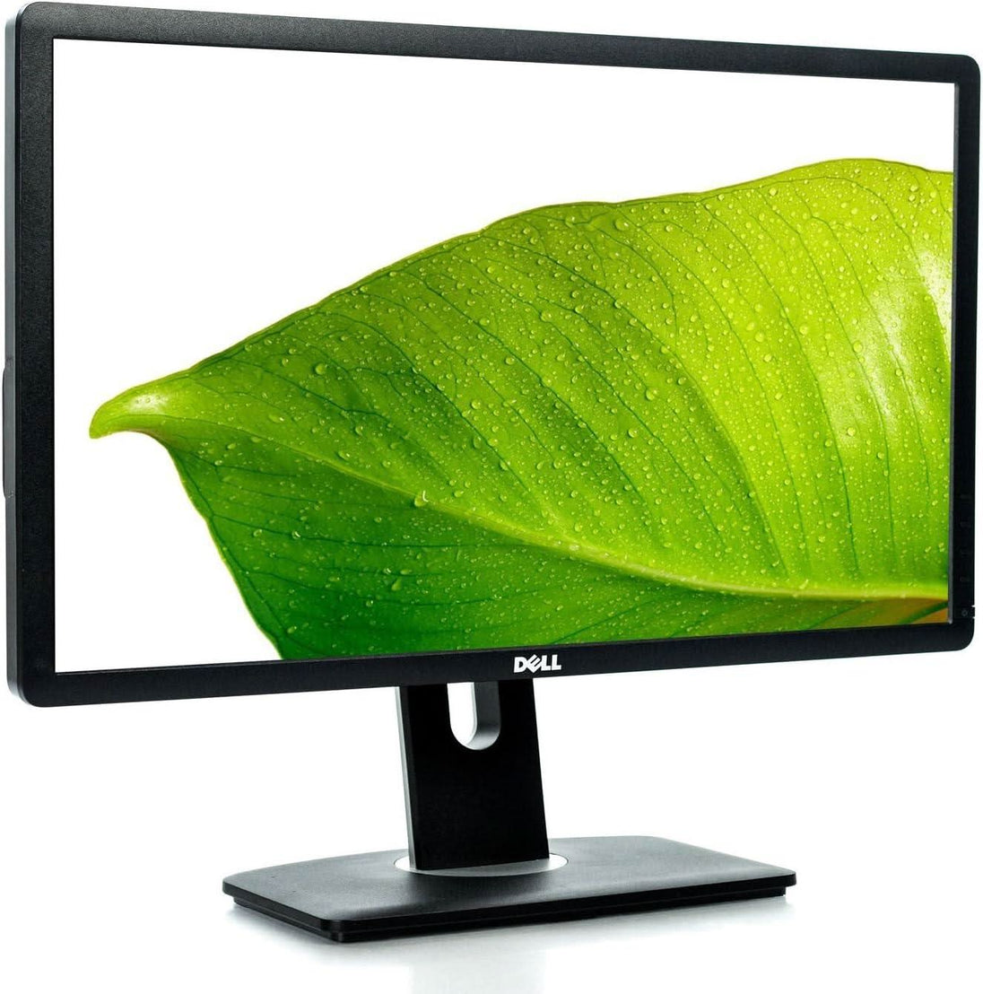Dell desktop monitor displaying a vibrant green leaf with water droplets